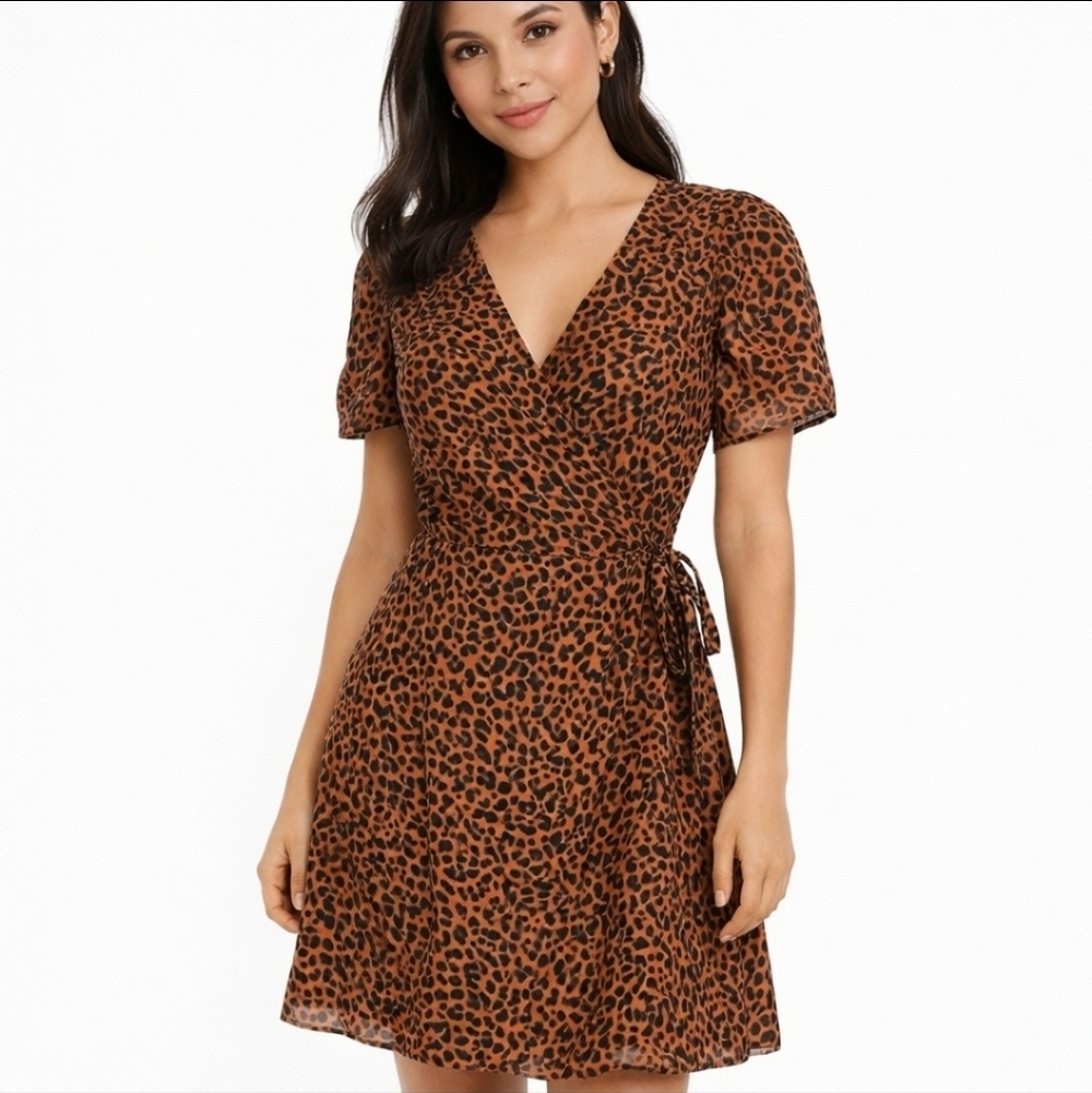 Madewell Leopard Print Wrap Dress | Size Small | EUC
